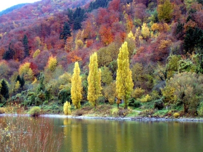 Herbst In Ediger Eller 3
